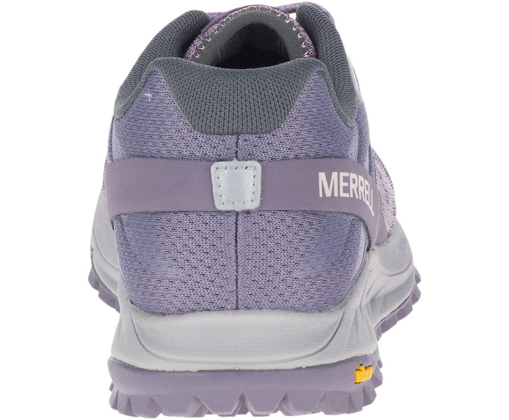 Buty Sportowe Merrell Damskie Fioletowe - Antora - 916837-REB